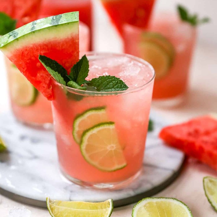 Watermelon Vodka Smash